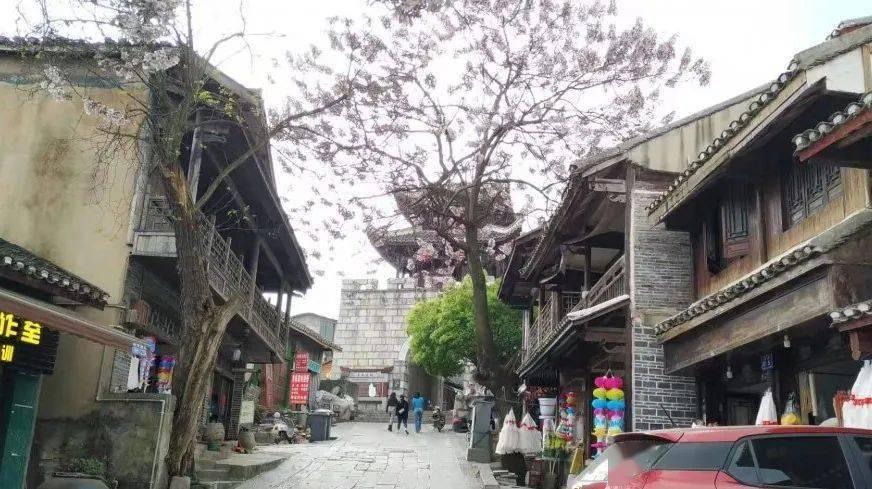 独步竹林